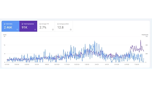 seo freelancer result