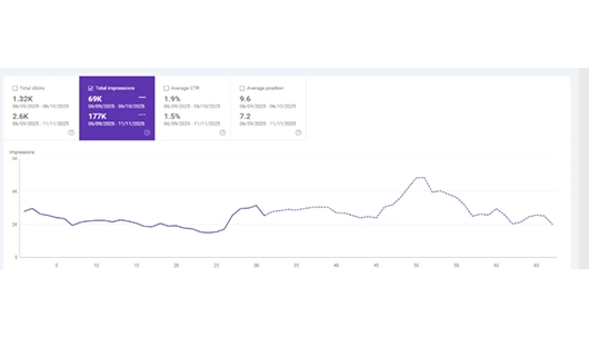 seo result